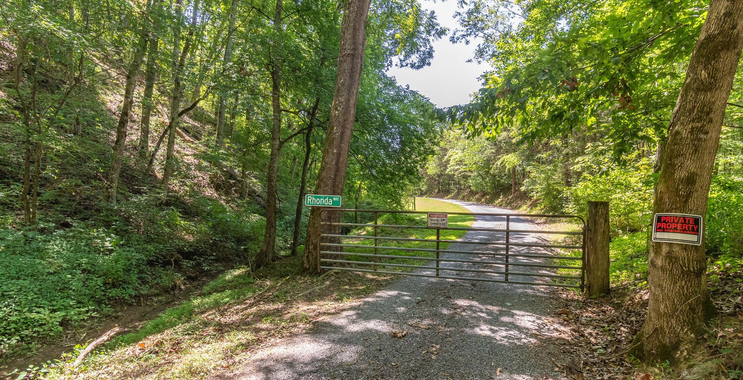 341 Launch Way Bybee, TN 37713 - Photo 29 of 31