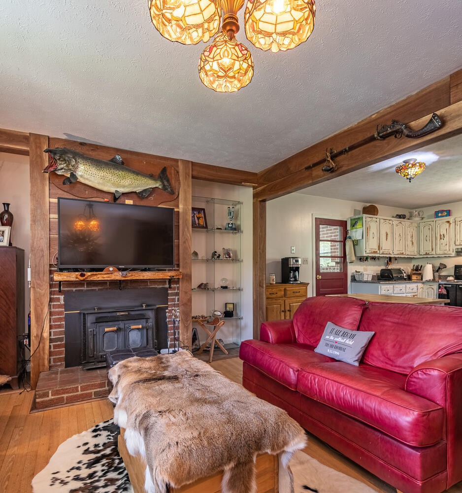 341 Launch Way Bybee, TN 37713 - Photo 7 of 31