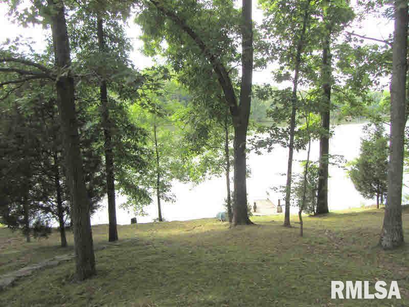 321 Old Davis Farm Road Carbondale, IL 62902 - Photo 3 of 40