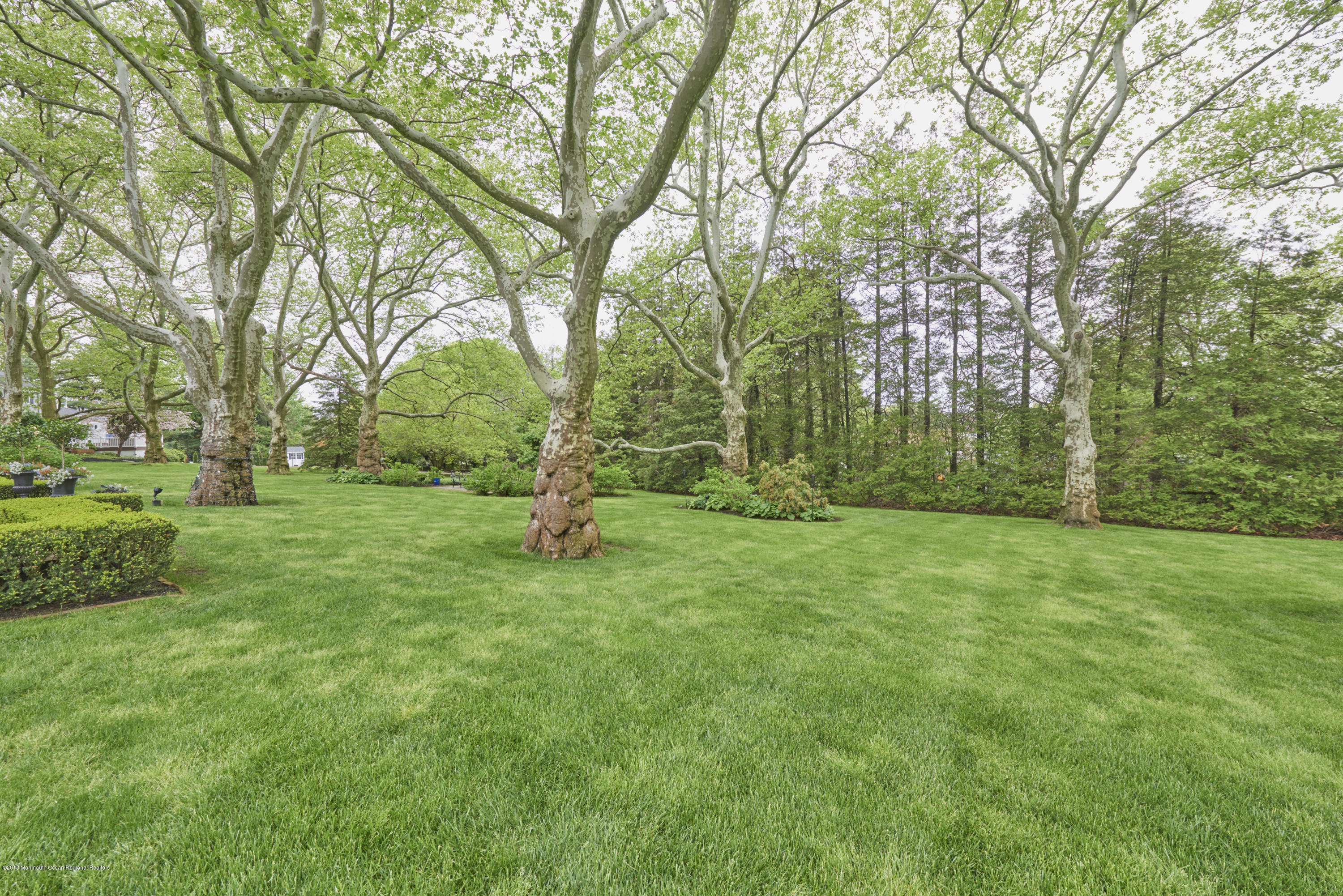 516 Ridge Road Fair Haven, NJ 07704 - Photo 33 of 35 BACKYARD