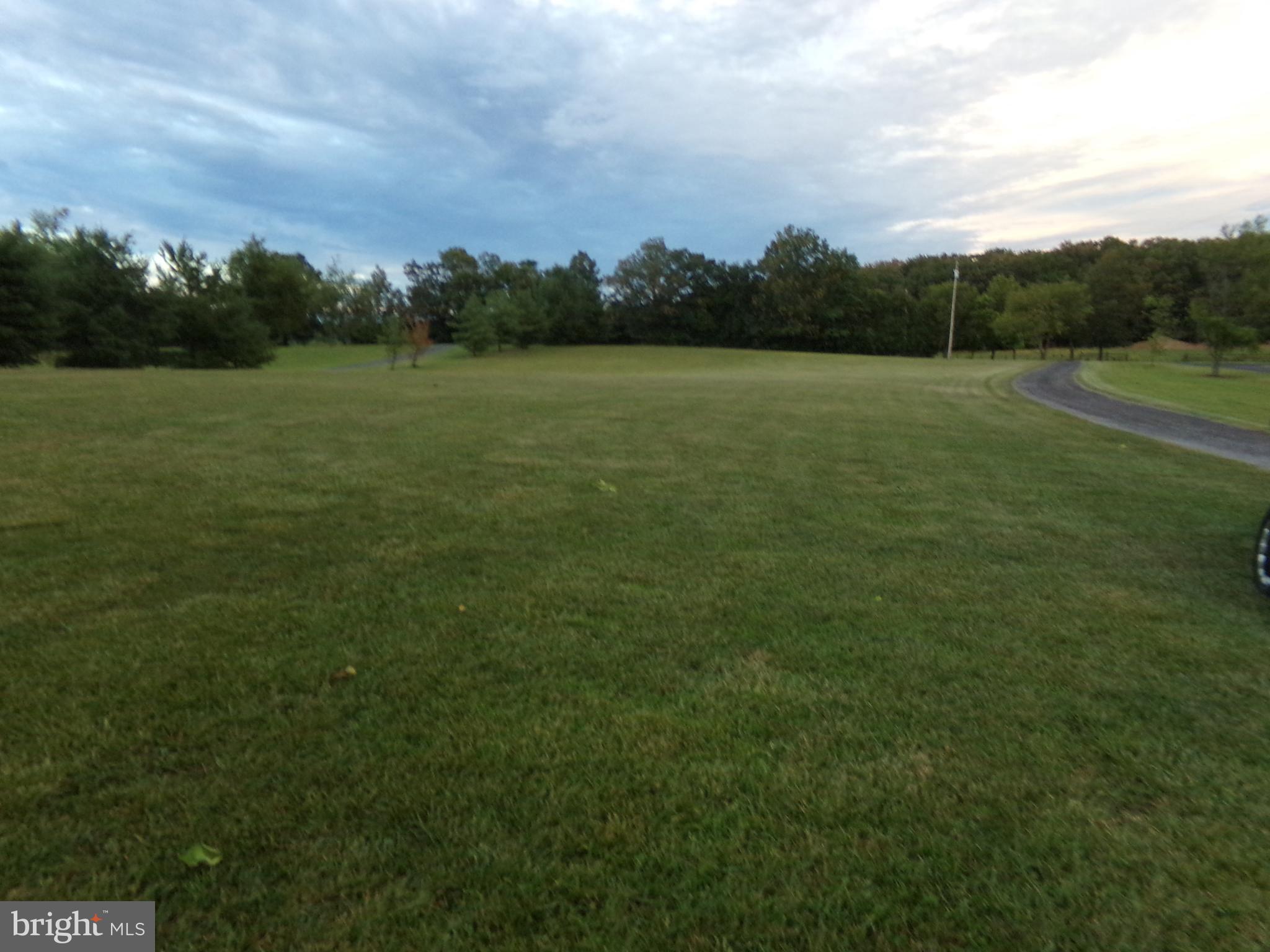 918 Gun Club Road Stephenson, VA 22656 - Photo 11 of 37 FRONT YARD
