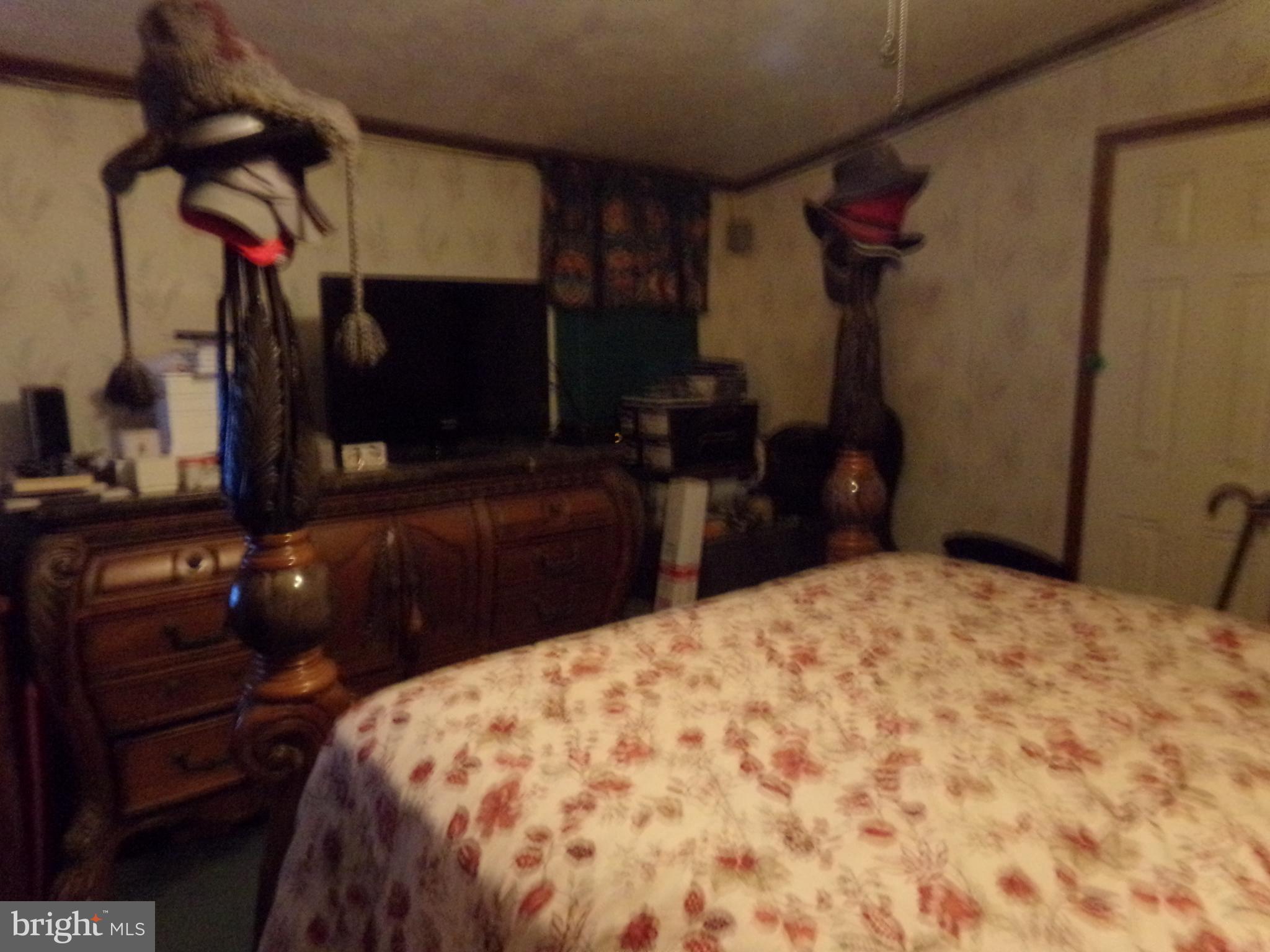 918 Gun Club Road Stephenson, VA 22656 - Photo 28 of 37 MASTER BEDROOM VIEW 2
