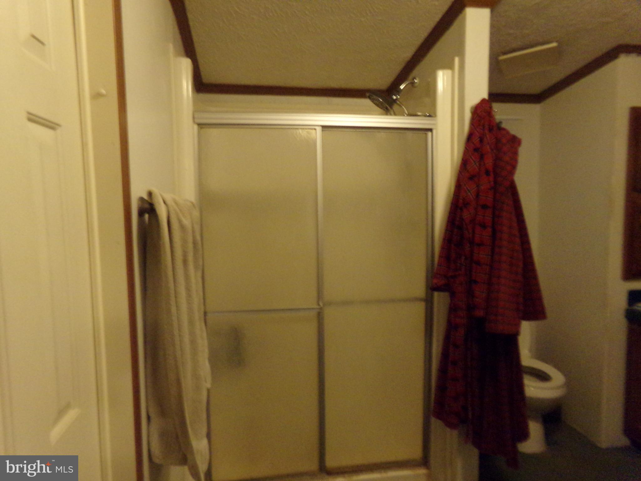 918 Gun Club Road Stephenson, VA 22656 - Photo 31 of 37 MASTER BATH SHOWER