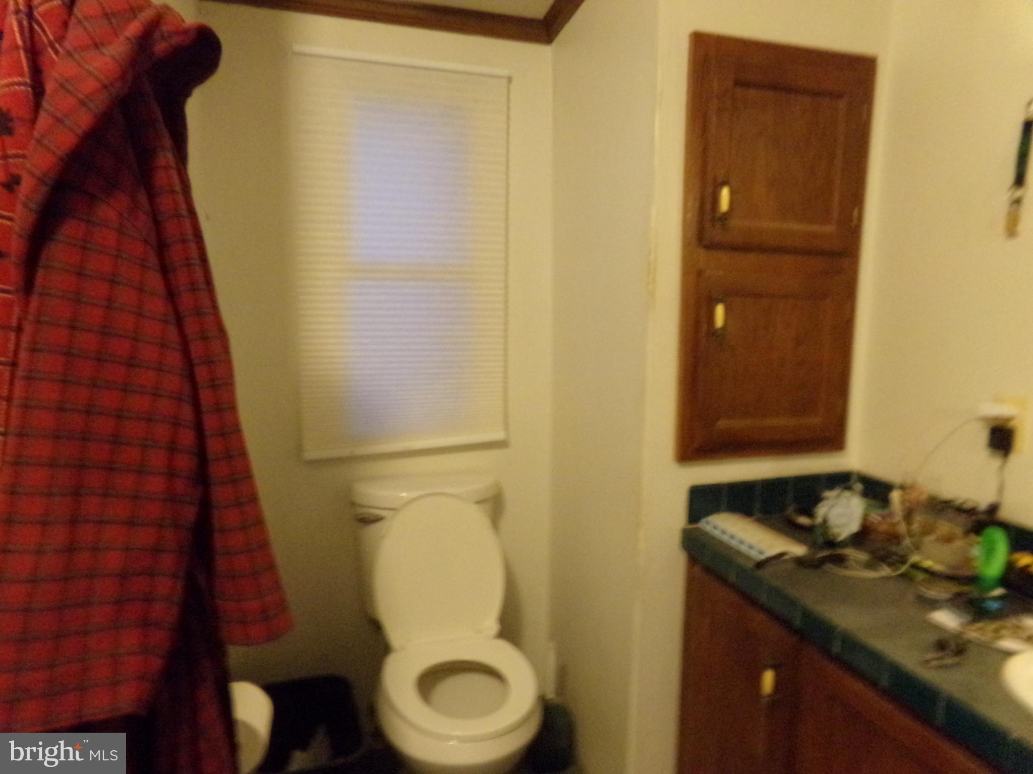 918 Gun Club Road Stephenson, VA 22656 - Photo 33 of 37 MASTER BATH TOILET AREA