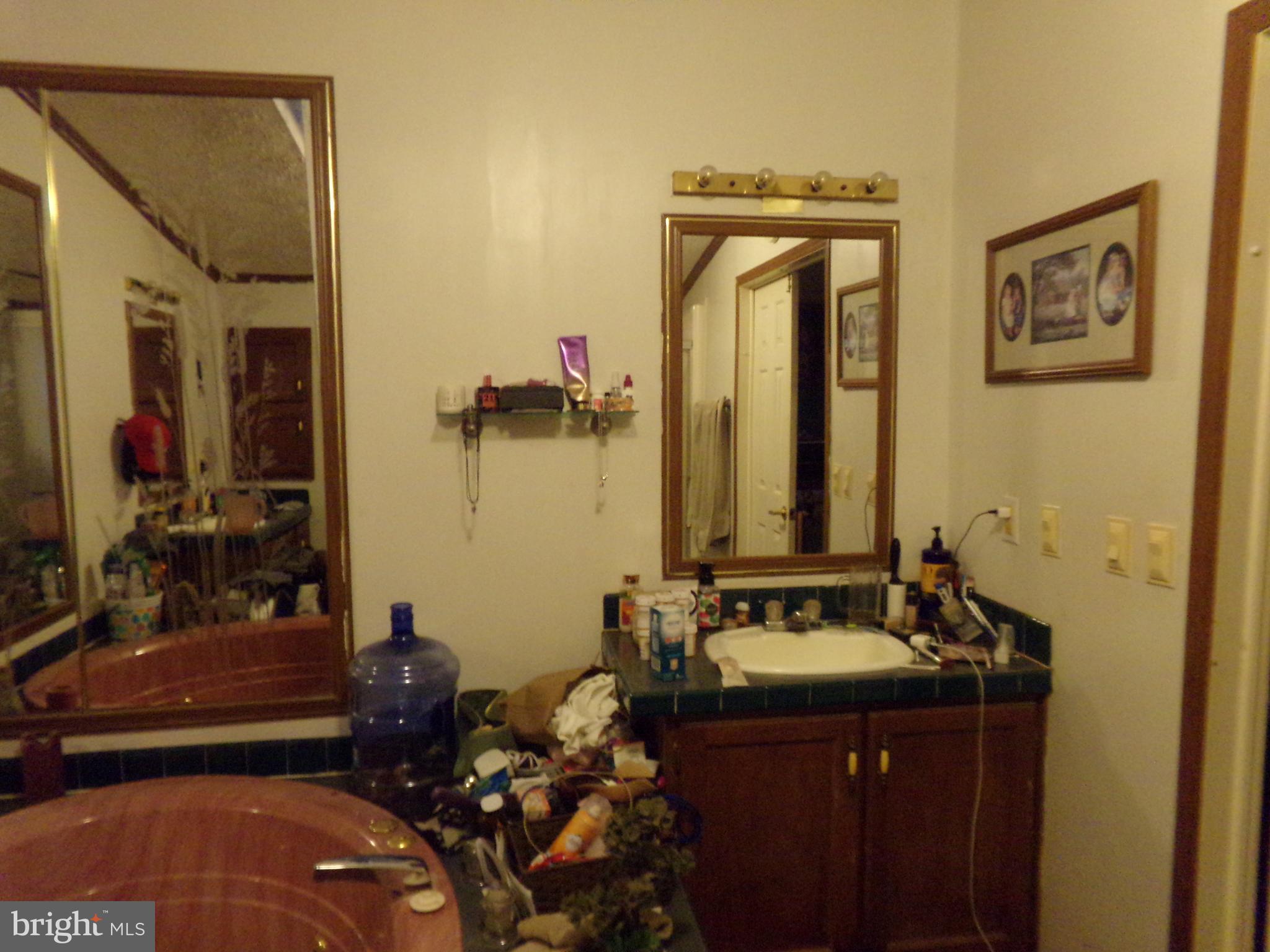 918 Gun Club Road Stephenson, VA 22656 - Photo 34 of 37 MASTER BATH VANITY 2
