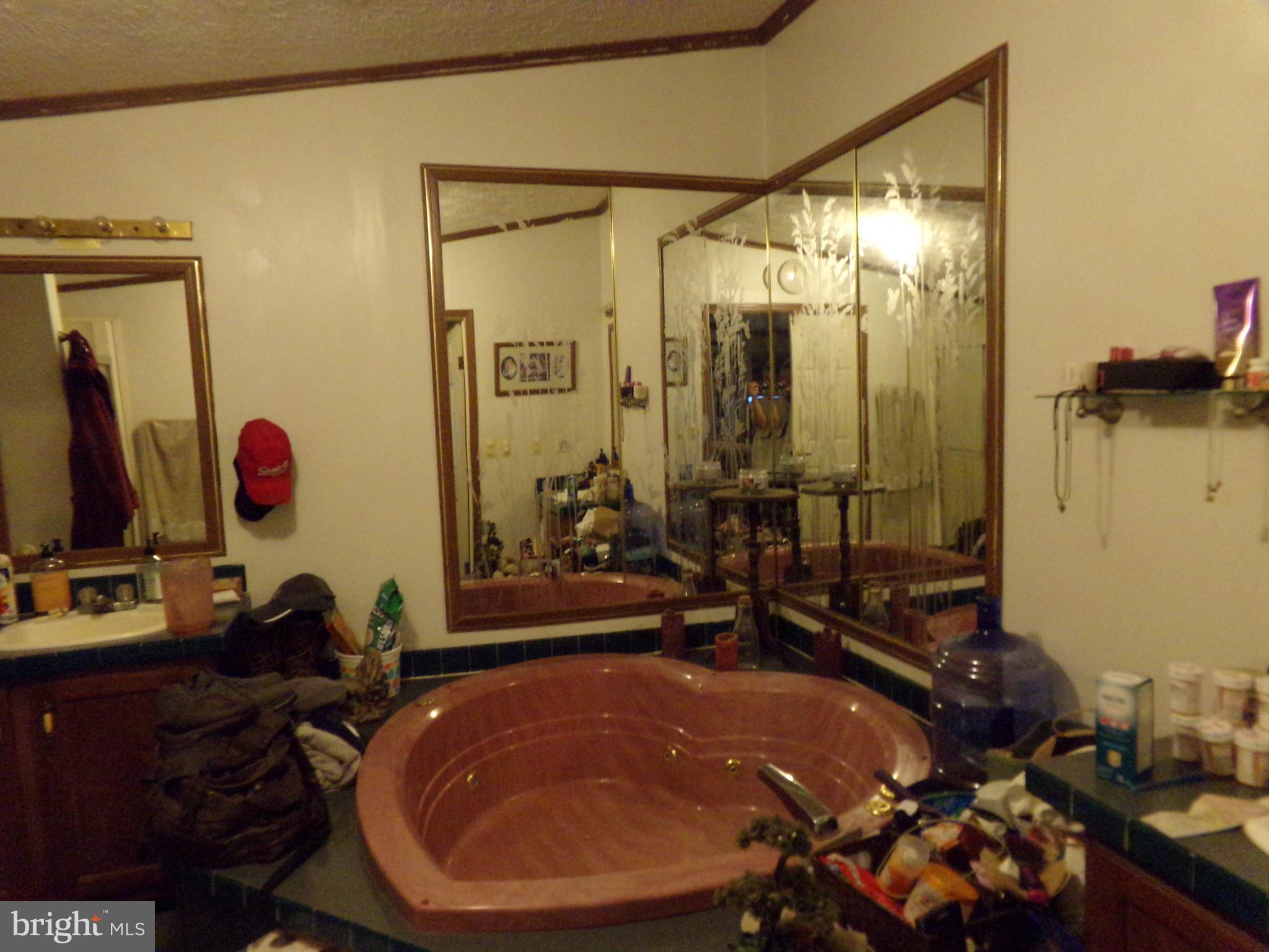 918 Gun Club Road Stephenson, VA 22656 - Photo 35 of 37 MASTER BATH HEART SHAPED JETTED TUB