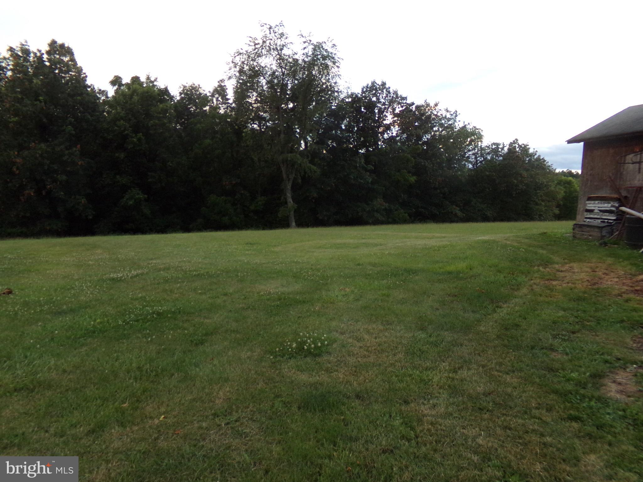 918 Gun Club Road Stephenson, VA 22656 - Photo 8 of 37 SIDE/BACK YARD
