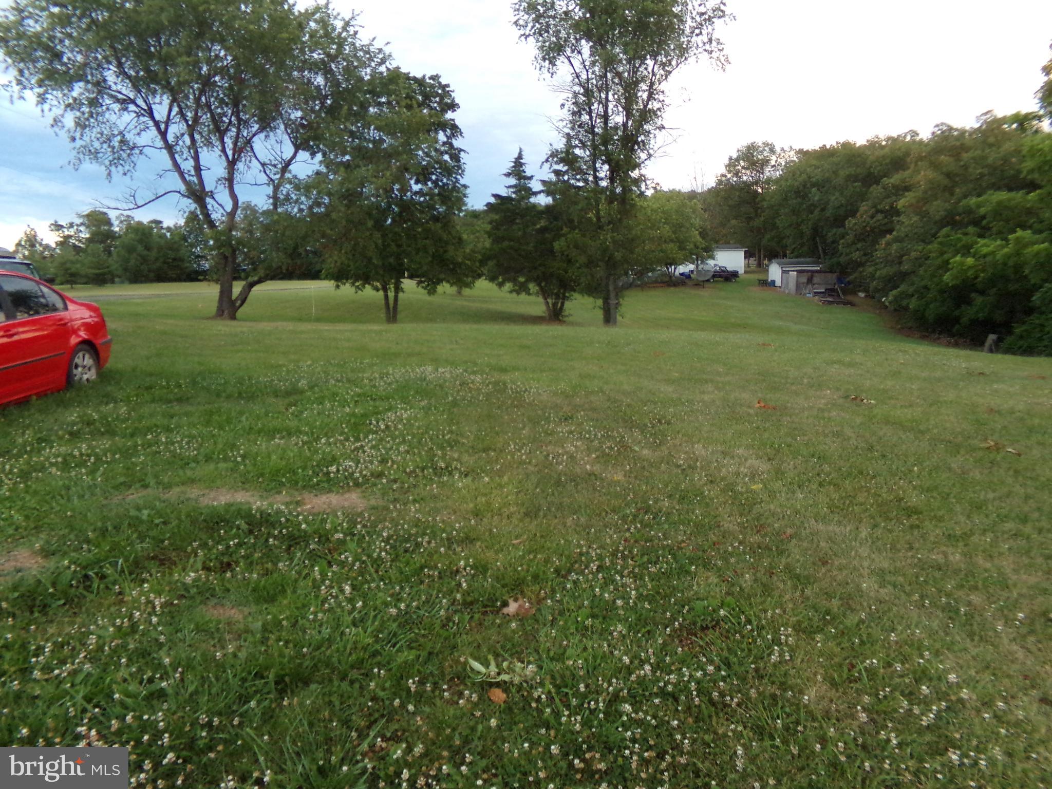 918 Gun Club Road Stephenson, VA 22656 - Photo 9 of 37 SIDE YARD