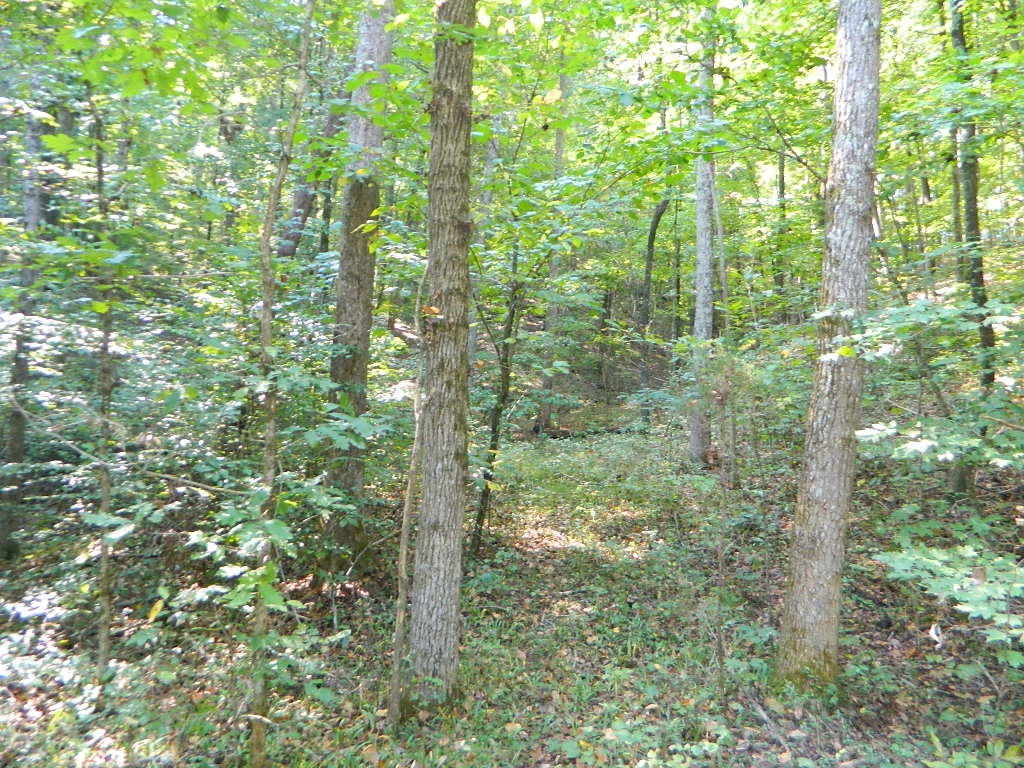 0 Woodwind Way Rising Fawn, GA 30738 - Photo 10 of 24
