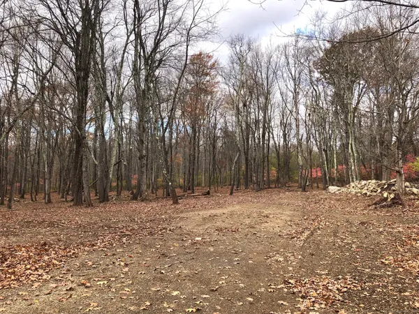 a view of outdoor space with trees