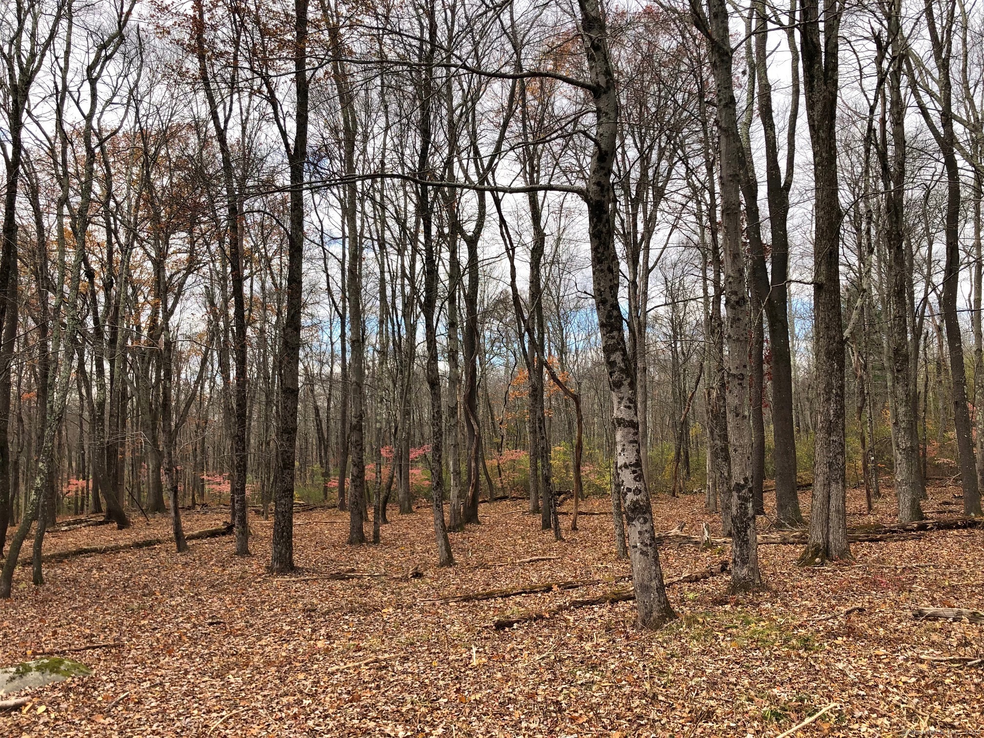 10 Gate Post Lane Litchfield, CT 06750 - Photo 2 of 4