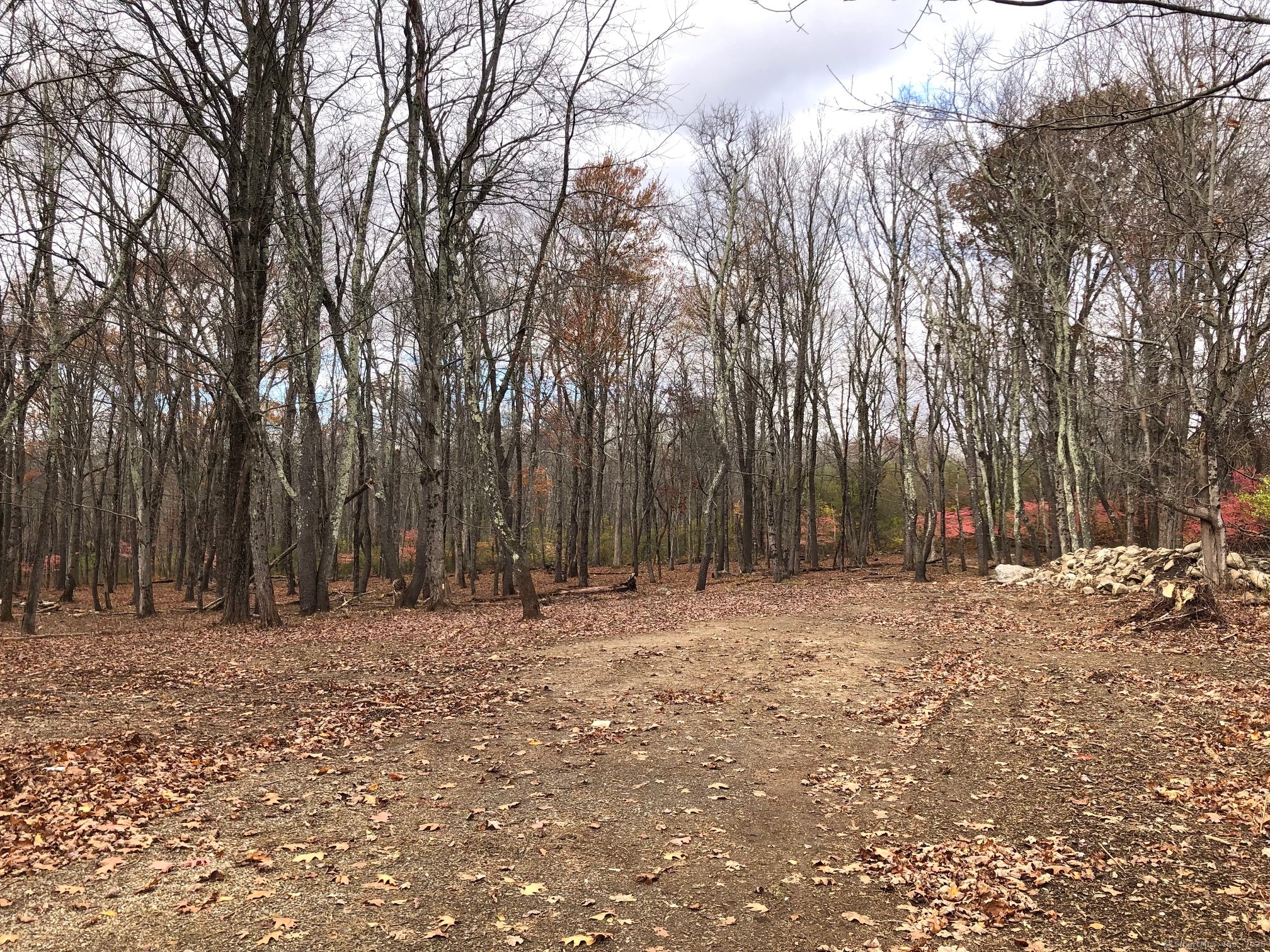 10 Gate Post Lane Bantam, CT 06750 - Photo 2 of 4 a view of outdoor space with trees