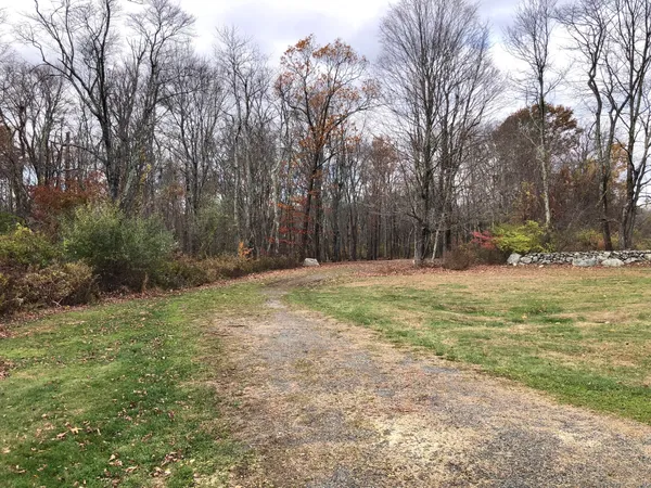 a view of backyard with green space