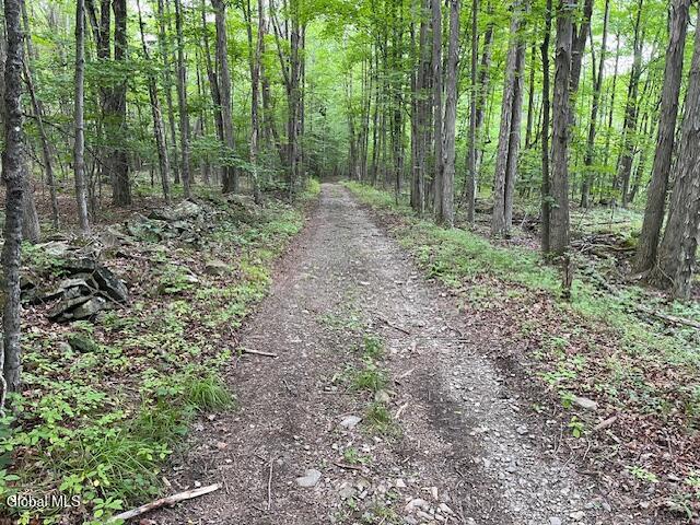 L34 Fred Jensen Road Middleburgh, NY 12122 - Photo 20 of 20 IMG_5706