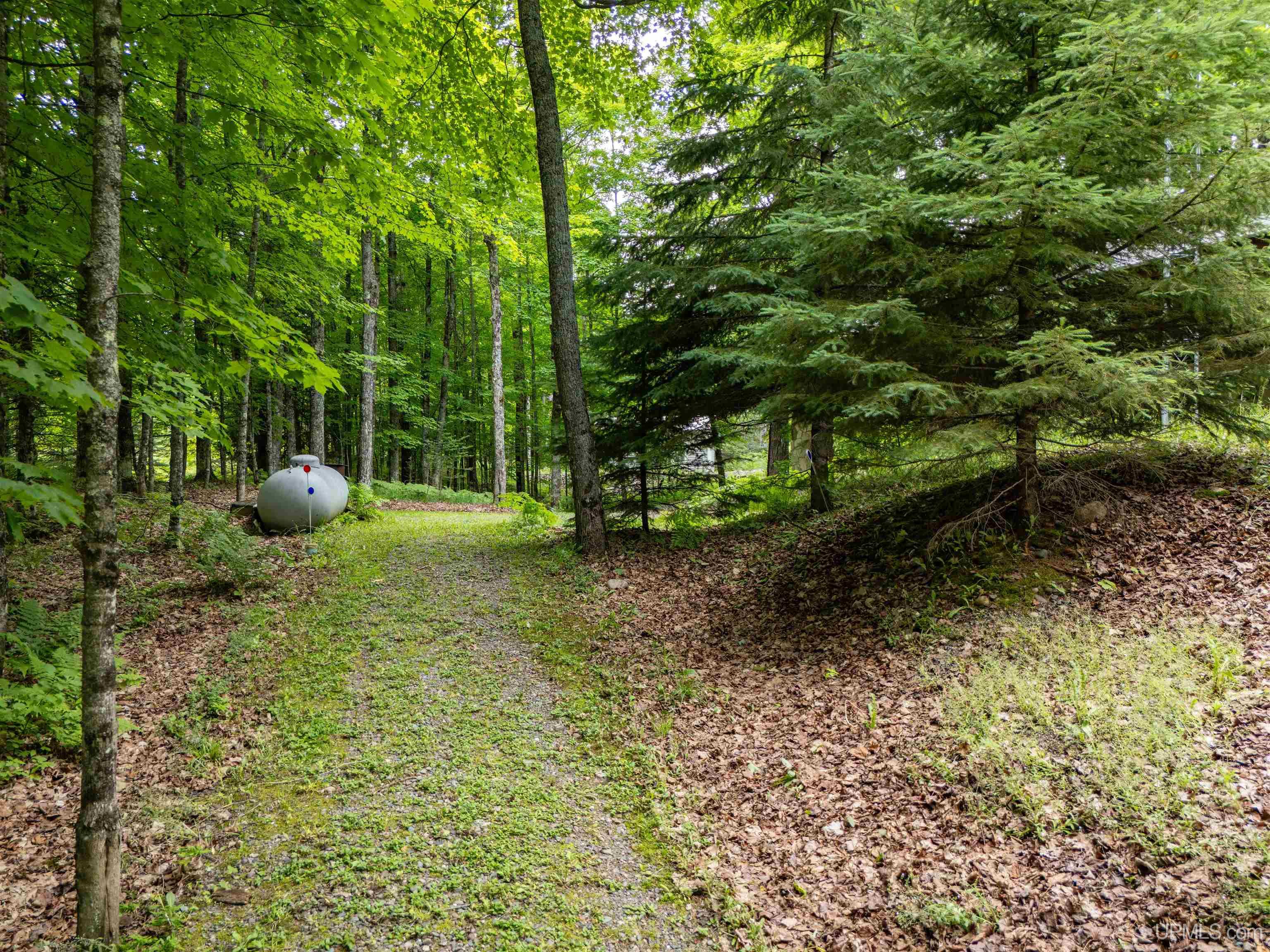 104 North Hagerman Lake Road Iron River, MI 49935 - Photo 46 of 55