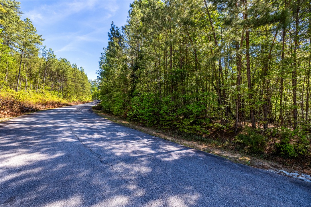 Lot E-31 Pine Ridge Way Salem, SC 29676 - Photo 2 of 16 This scenic drive meanders through a lush, tree-lined landscape.