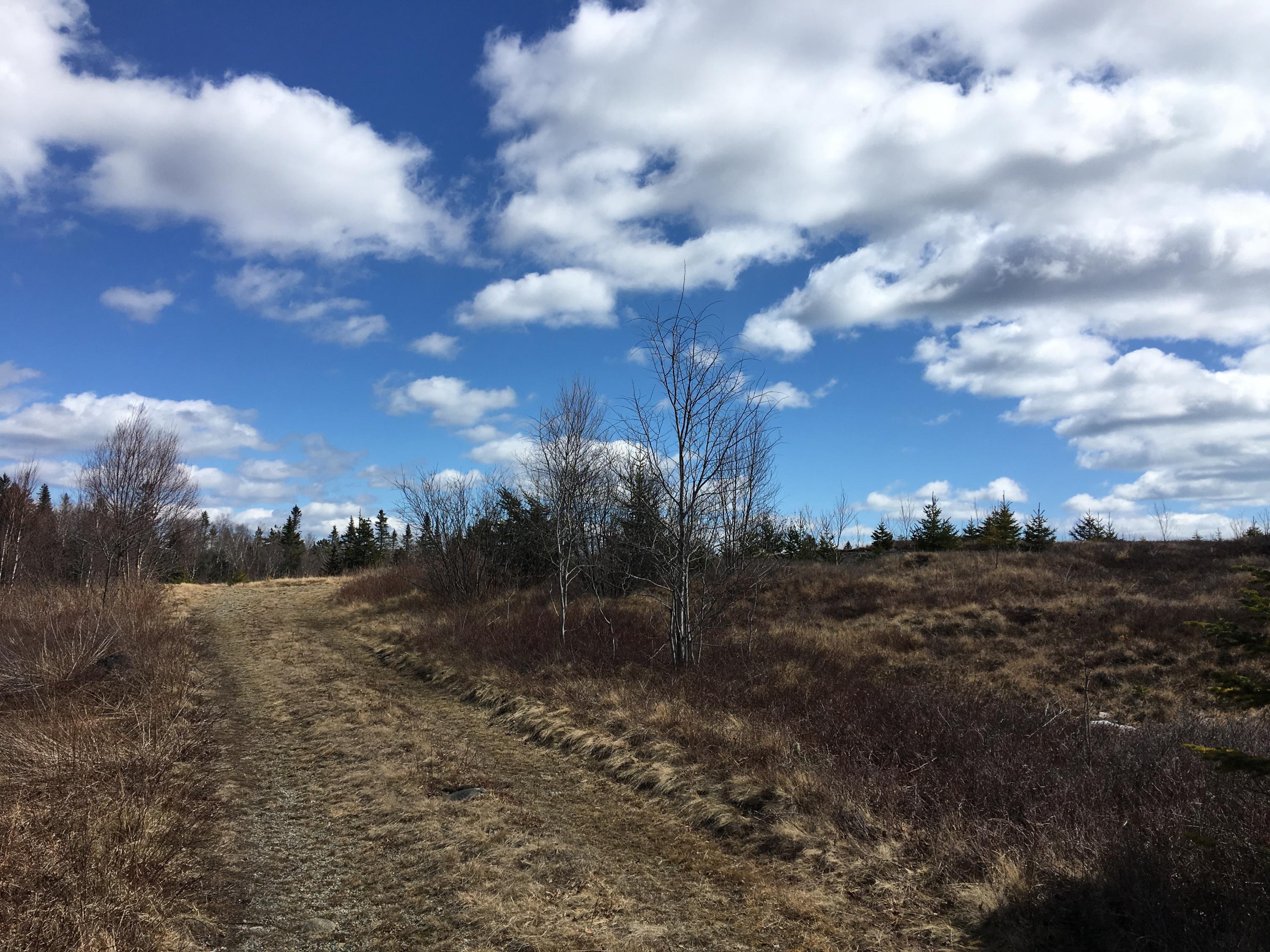 112 Basin Road Addison, ME 04606 - Photo 11 of 29 IMG_3283