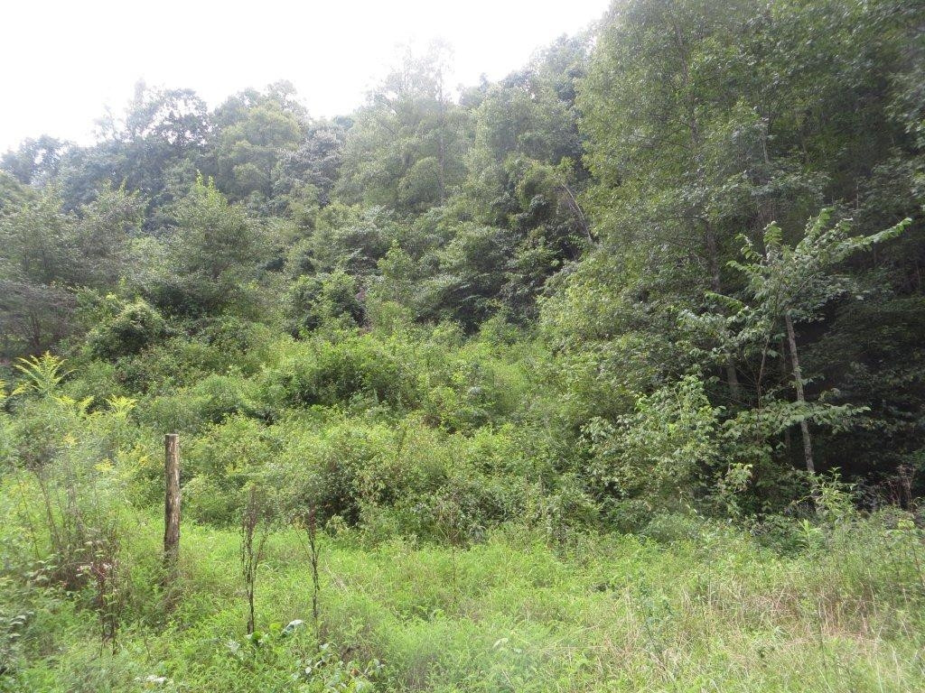 0 Mccall Gap Road Bristol, VA 24202 - Photo 1 of 3 Photo 1