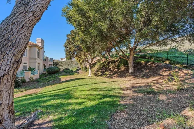 a view of a yard with plants and trees
