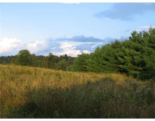 0 Rome Road Mercer, ME 04957 - Photo 5 of 25 Land.