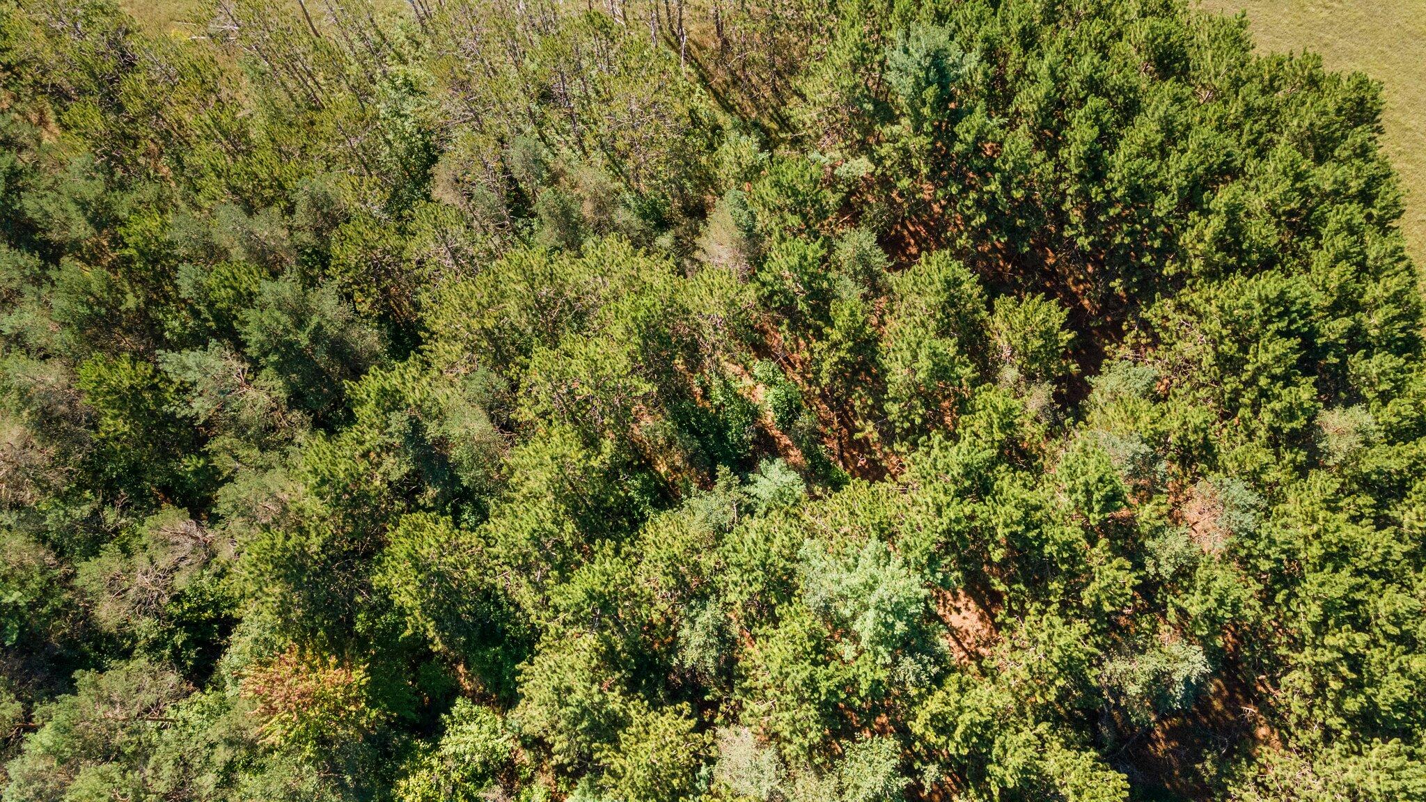 Krys Road Gaylord, MI 49735 - Photo 15 of 23 Gallery Image 15