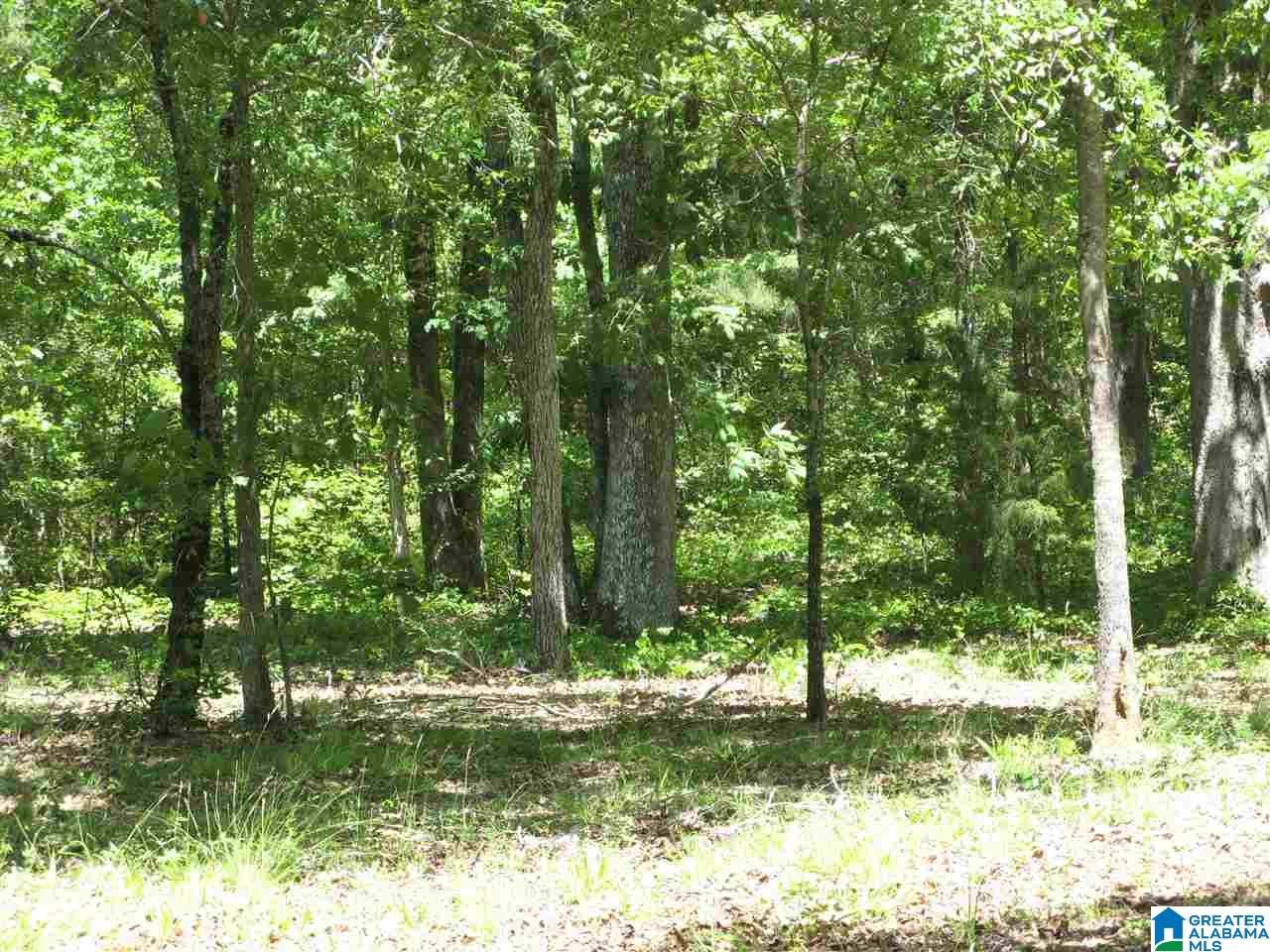 388 South River Road Shelby, AL 35143 - Photo 49 of 50