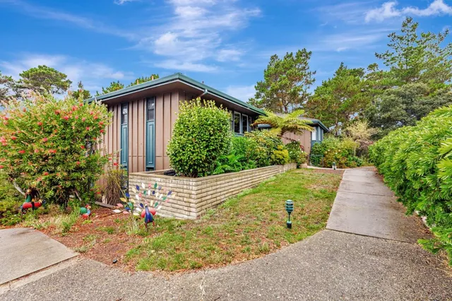 a view of a backyard with potted plants