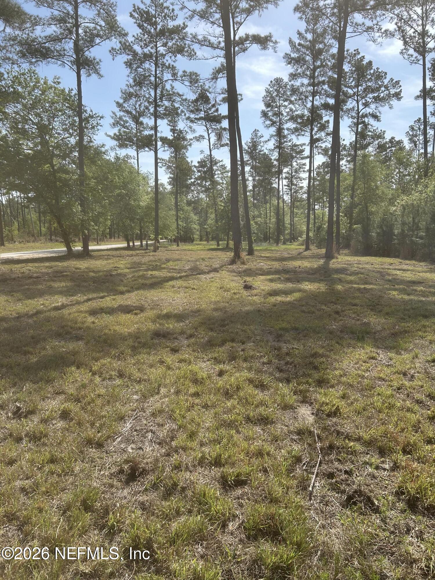 0 Northwest Falling Creek Road Lake City, FL 32055 - Photo 2 of 8 a view of a yard with a trees