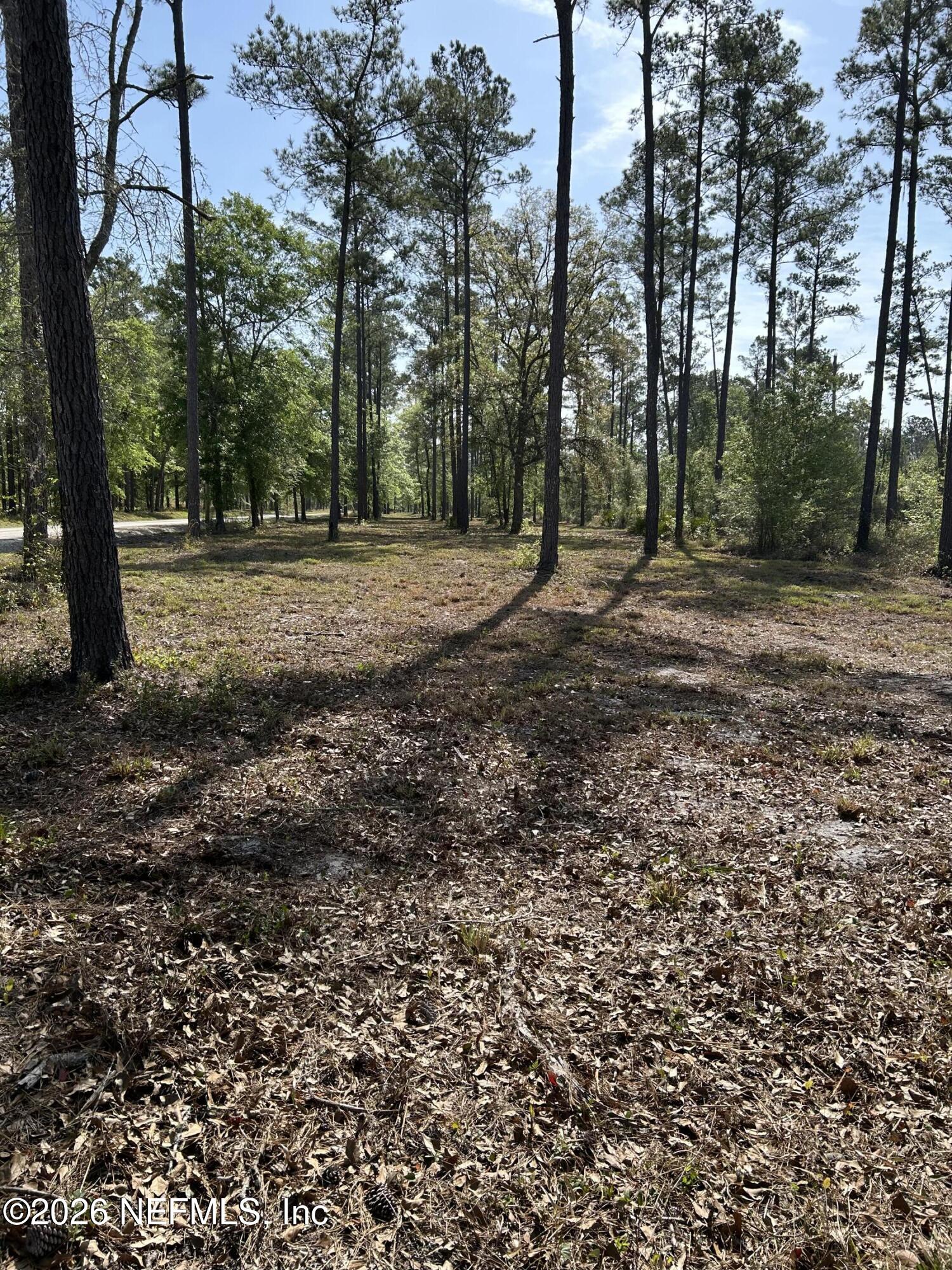 0 Northwest Falling Creek Road Lake City, FL 32055 - Photo 3 of 8 a view of outdoor space with trees