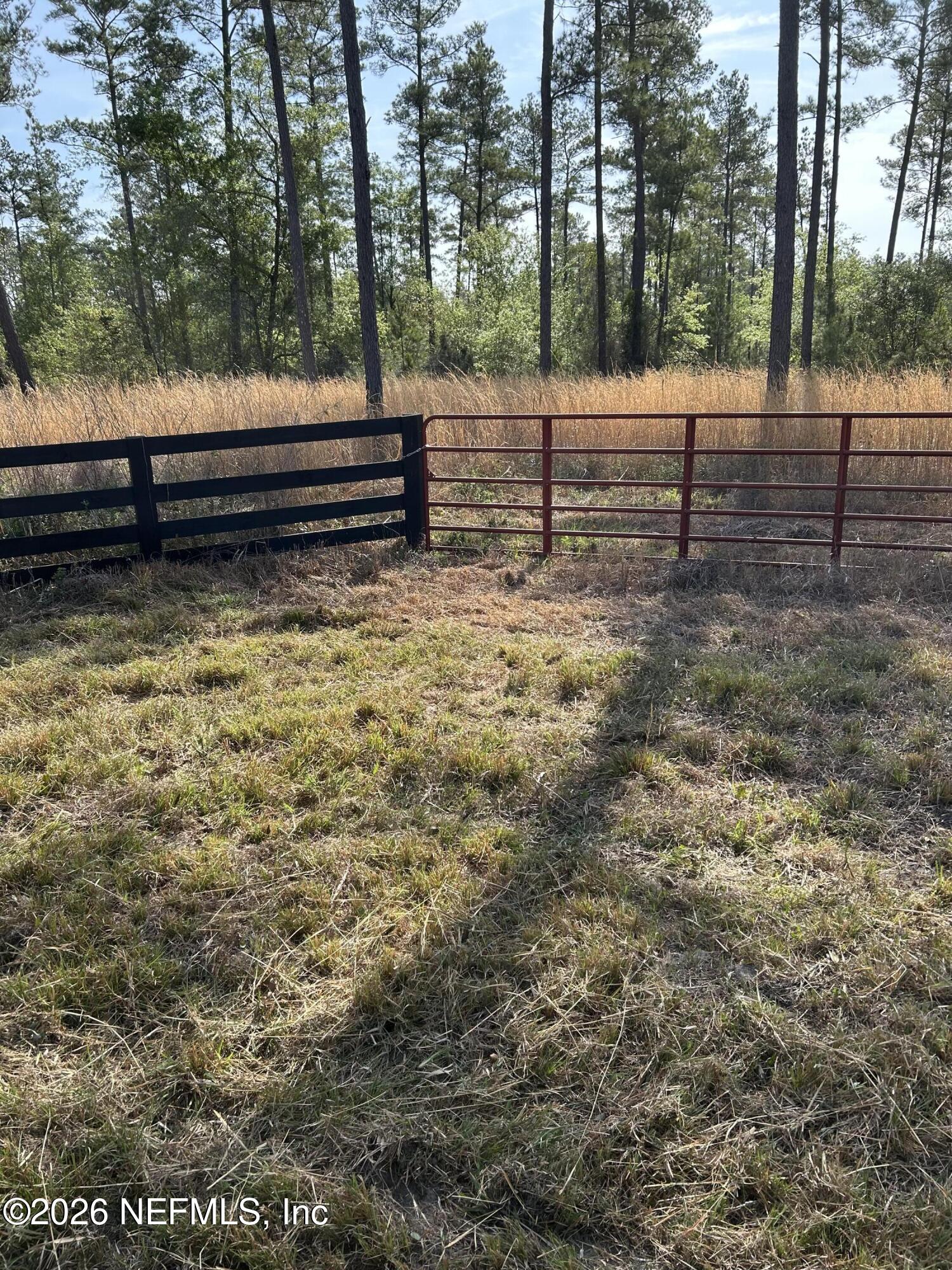 0 Northwest Falling Creek Road Lake City, FL 32055 - Photo 4 of 8 a view of park bench sitting in a yard