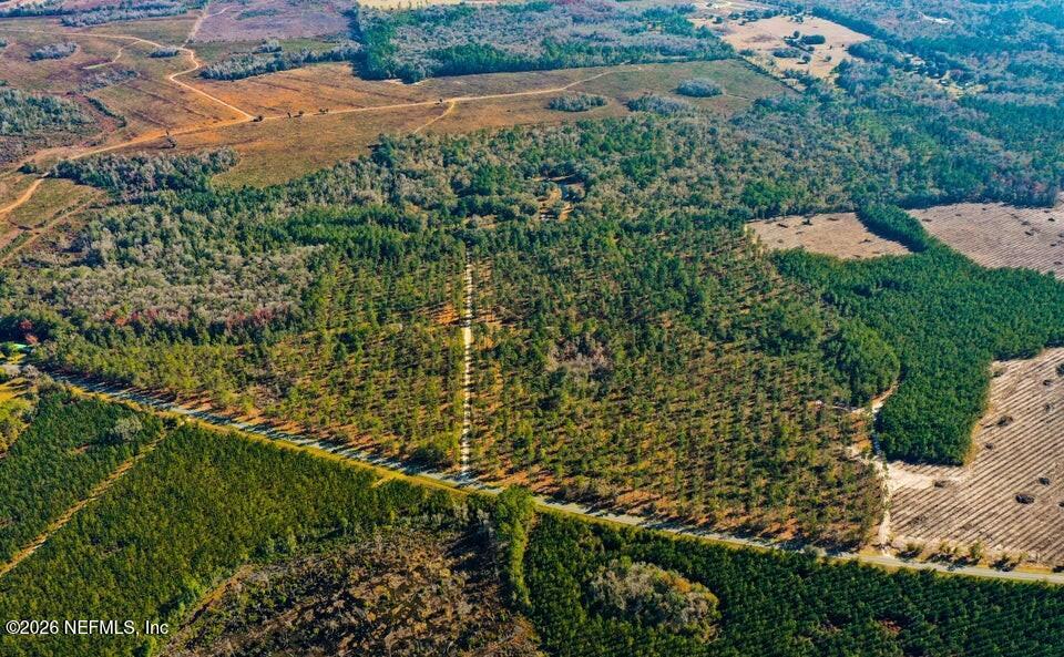 0 Northwest Falling Creek Road Lake City, FL 32055 - Photo 7 of 8 a view of a yard with plants and large trees