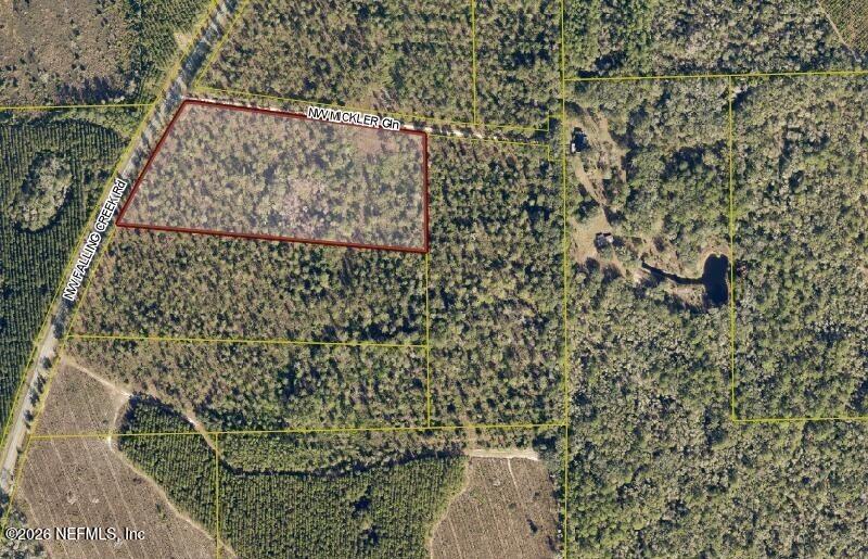 0 Northwest Falling Creek Road Lake City, FL 32055 - Photo 8 of 8