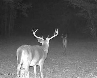 1359 Loring Rd Exd Camden, MS 39045 - Photo 65 of 91 Image-1 3