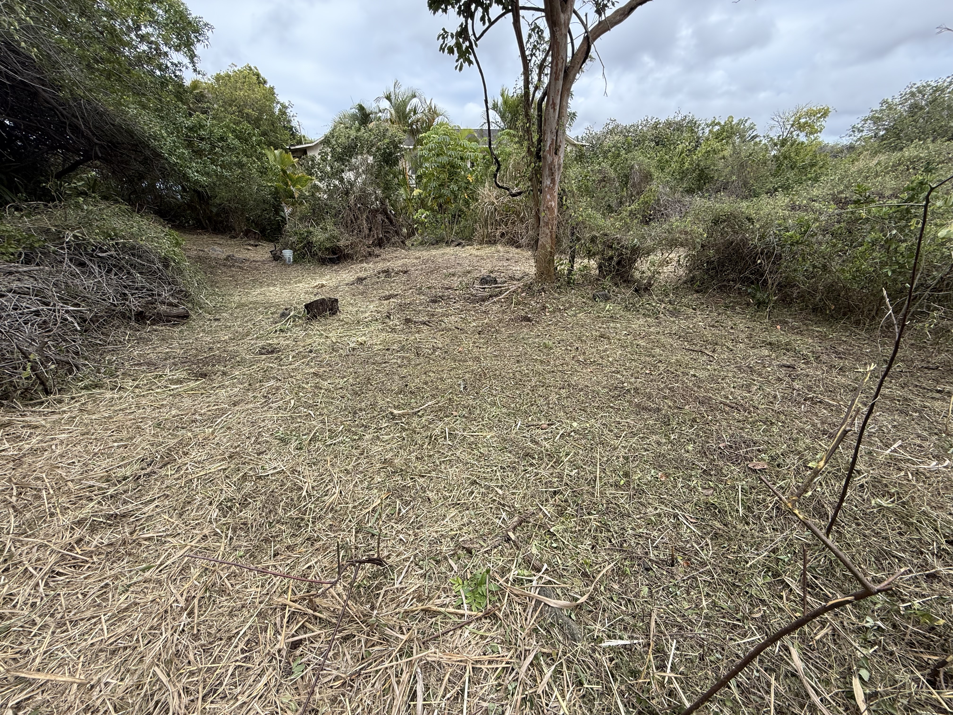 94-1575 Lot 676 Haehae Street Naalehu, HI 96772 - Photo 1 of 11