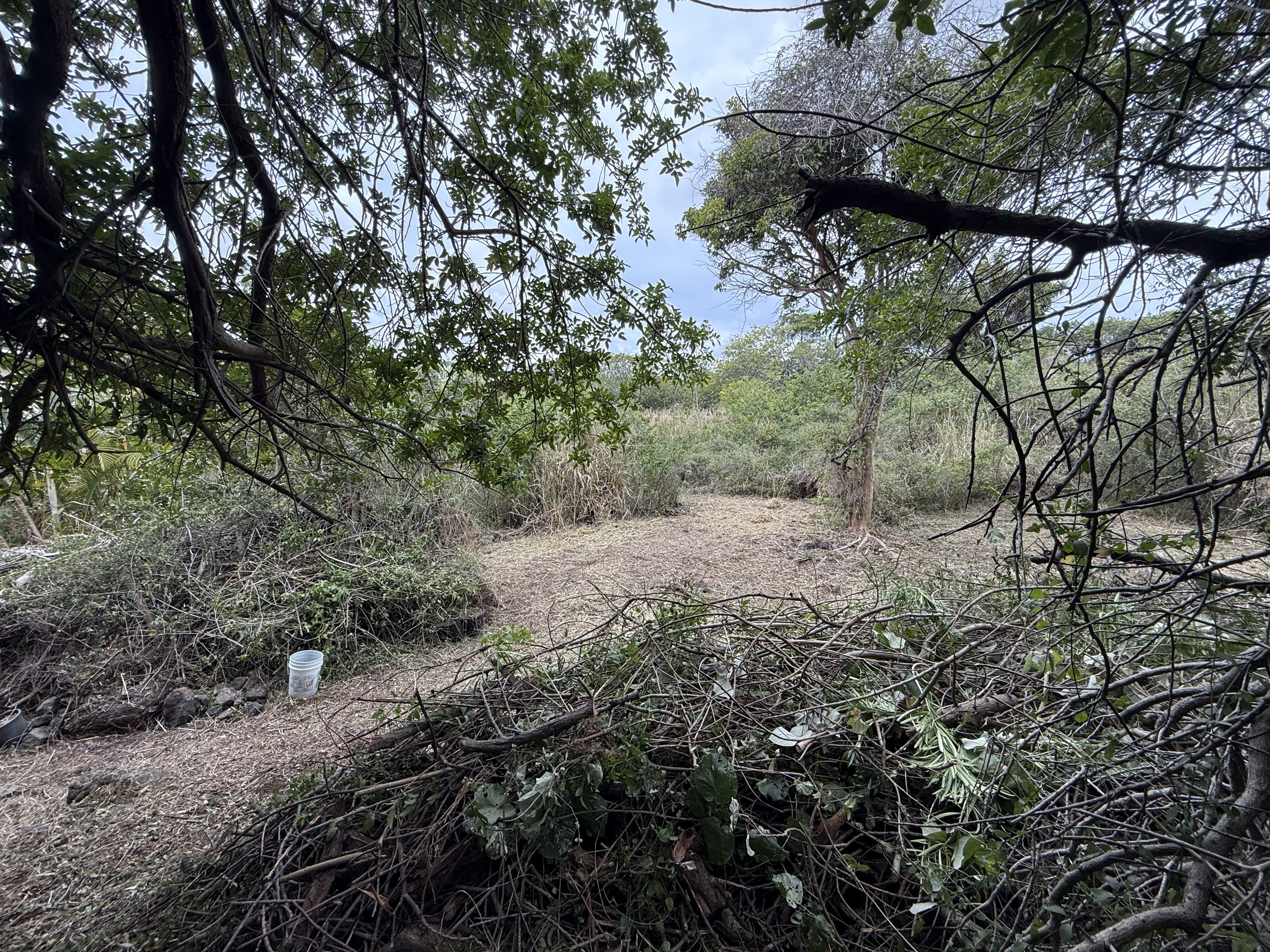 94-1575 Lot 676 Haehae Street Naalehu, HI 96772 - Photo 4 of 11