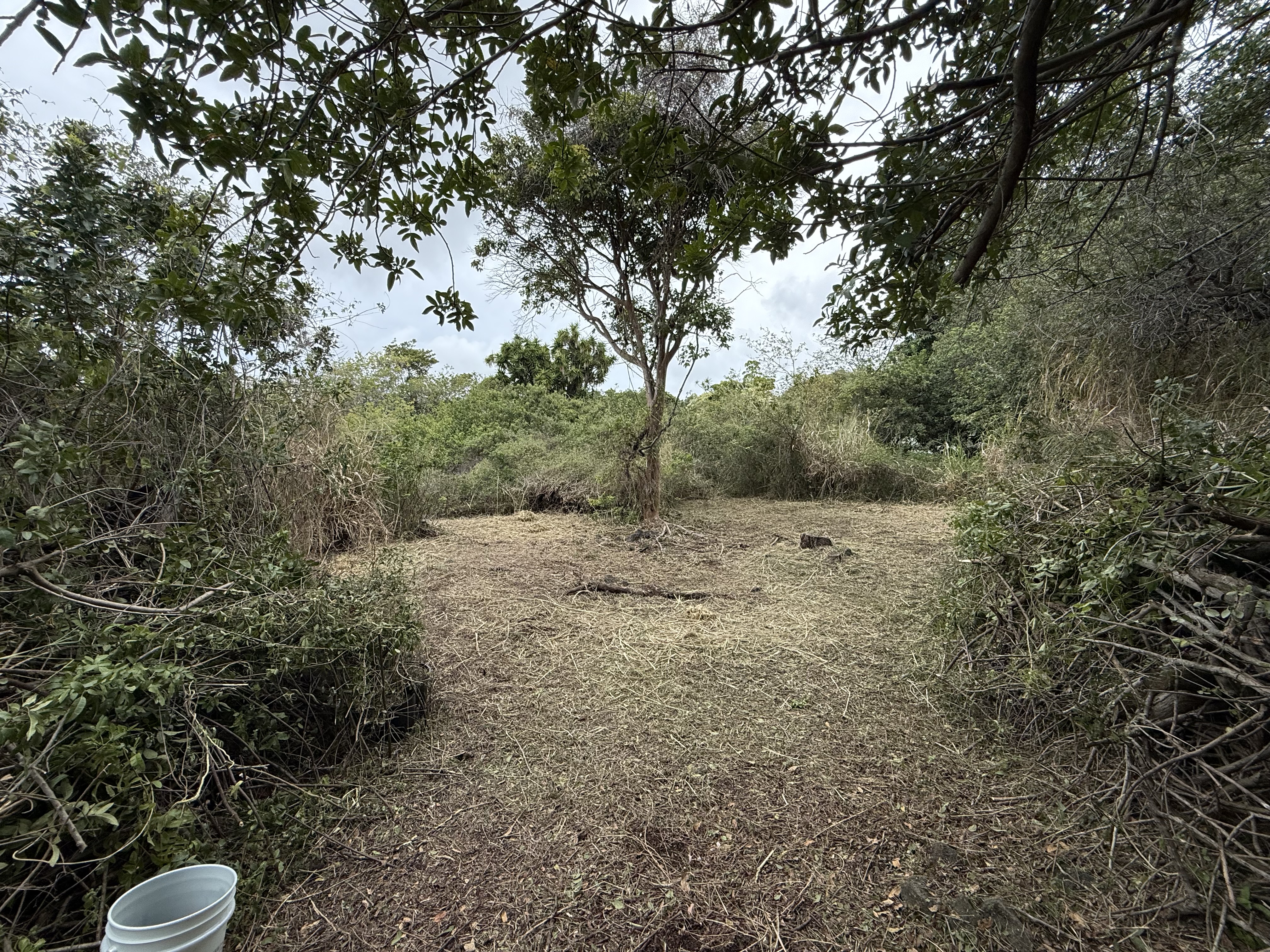 94-1575 Lot 676 Haehae Street Naalehu, HI 96772 - Photo 5 of 11