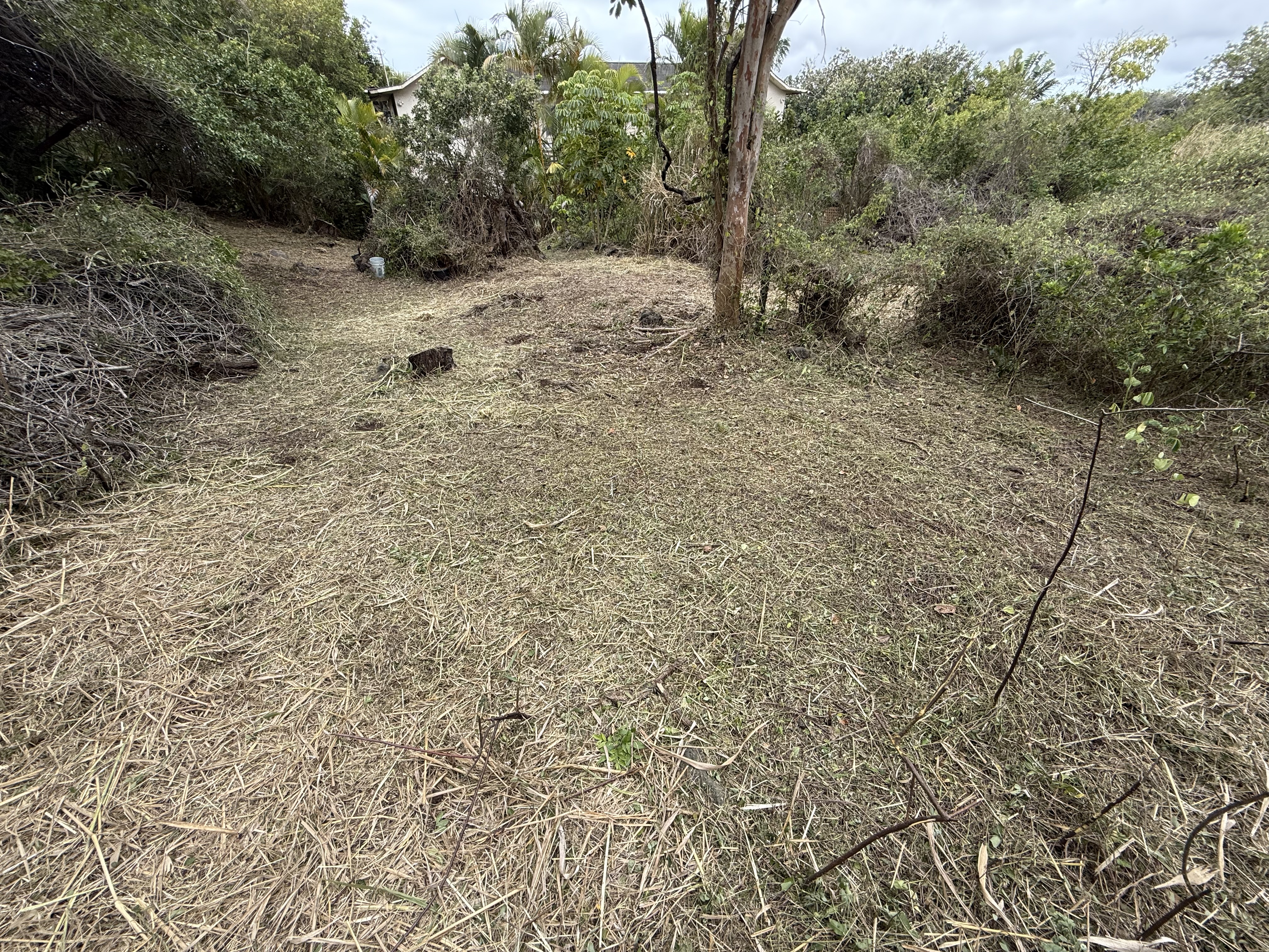 94-1575 Lot 676 Haehae Street Naalehu, HI 96772 - Photo 6 of 11