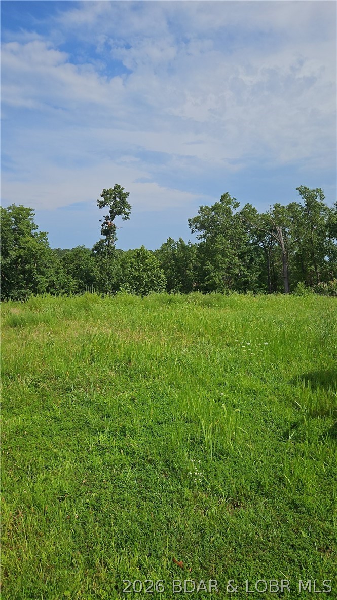 Bass Point Road Gravois Mills, MO 65037 - Photo 8 of 10 Gallery Image 8