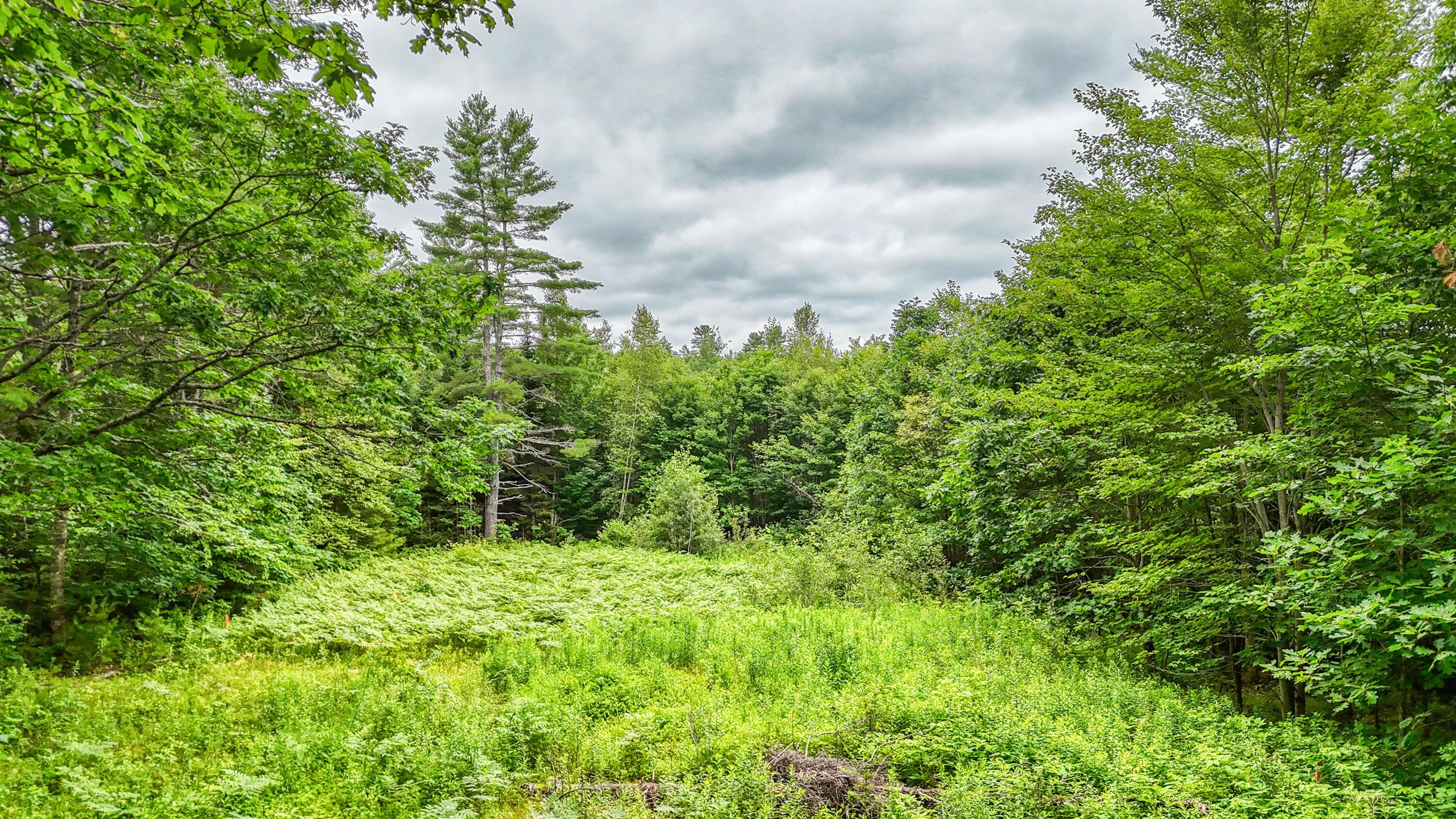 44 South Colby Road Somerville, ME 04348 - Photo 12 of 19 110082ae-102