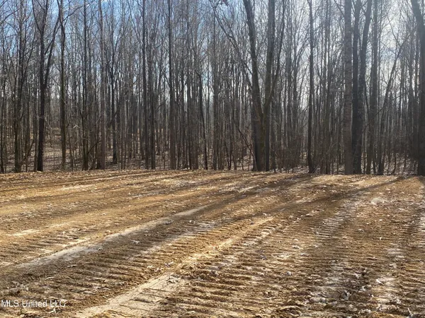 $65,000 | Longtown Road, Sarah, MS 38665