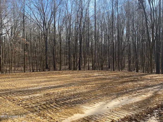 $65,000 | Longtown Road, Sarah, MS 38665