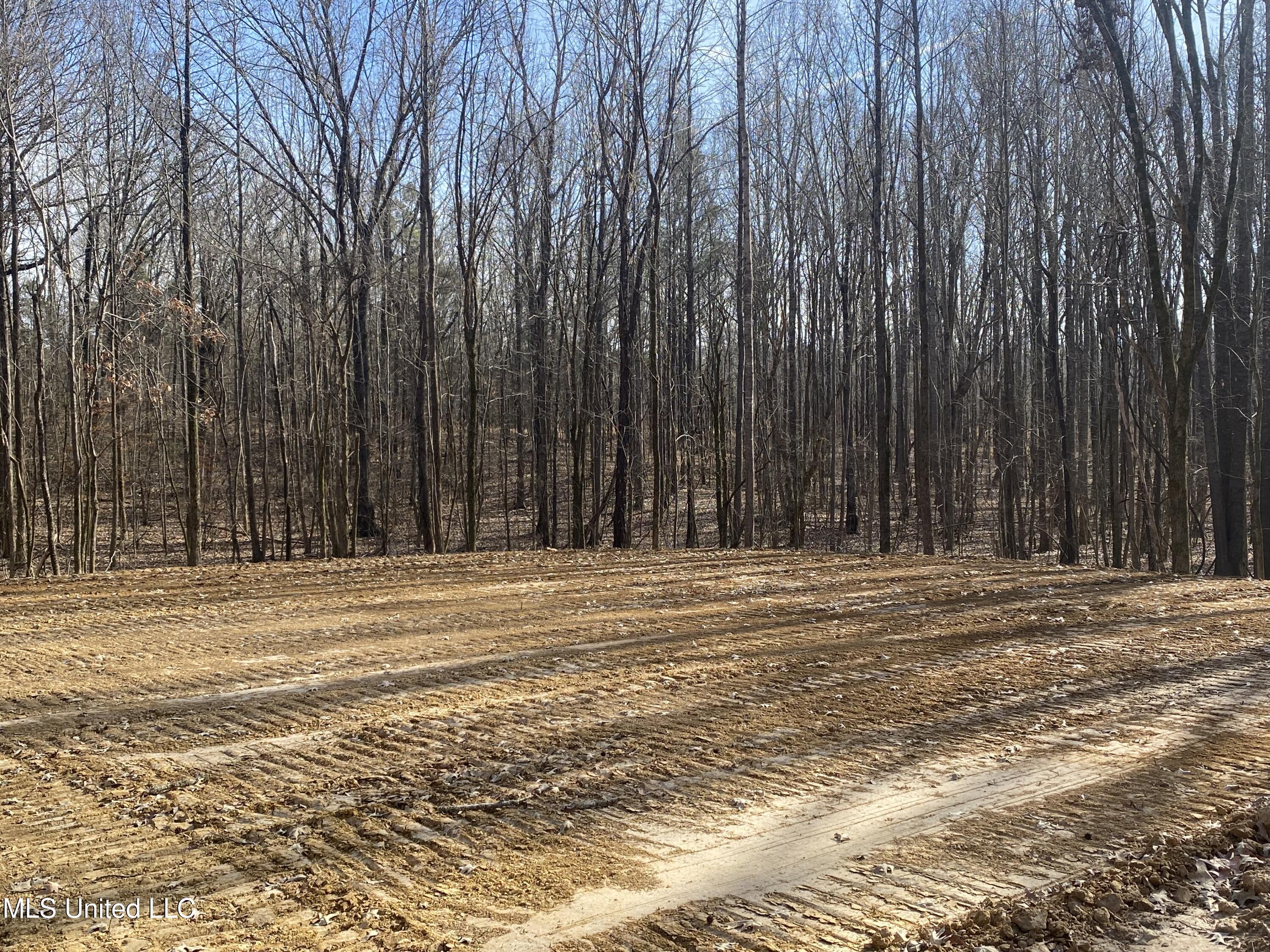 Longtown Road Sarah, MS 38665 - Photo 7 of 10 IMG_6315