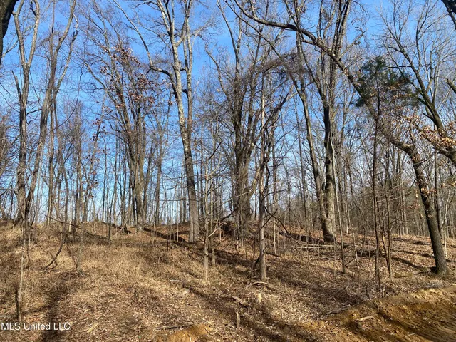 $65,000 | Longtown Road, Sarah, MS 38665