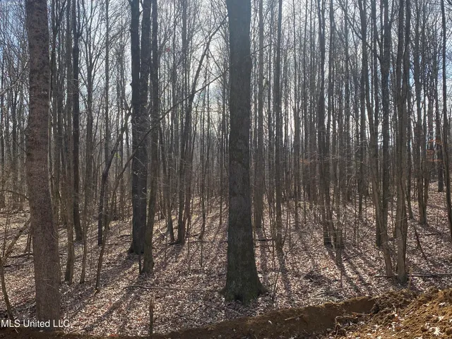 $65,000 | Longtown Road, Sarah, MS 38665