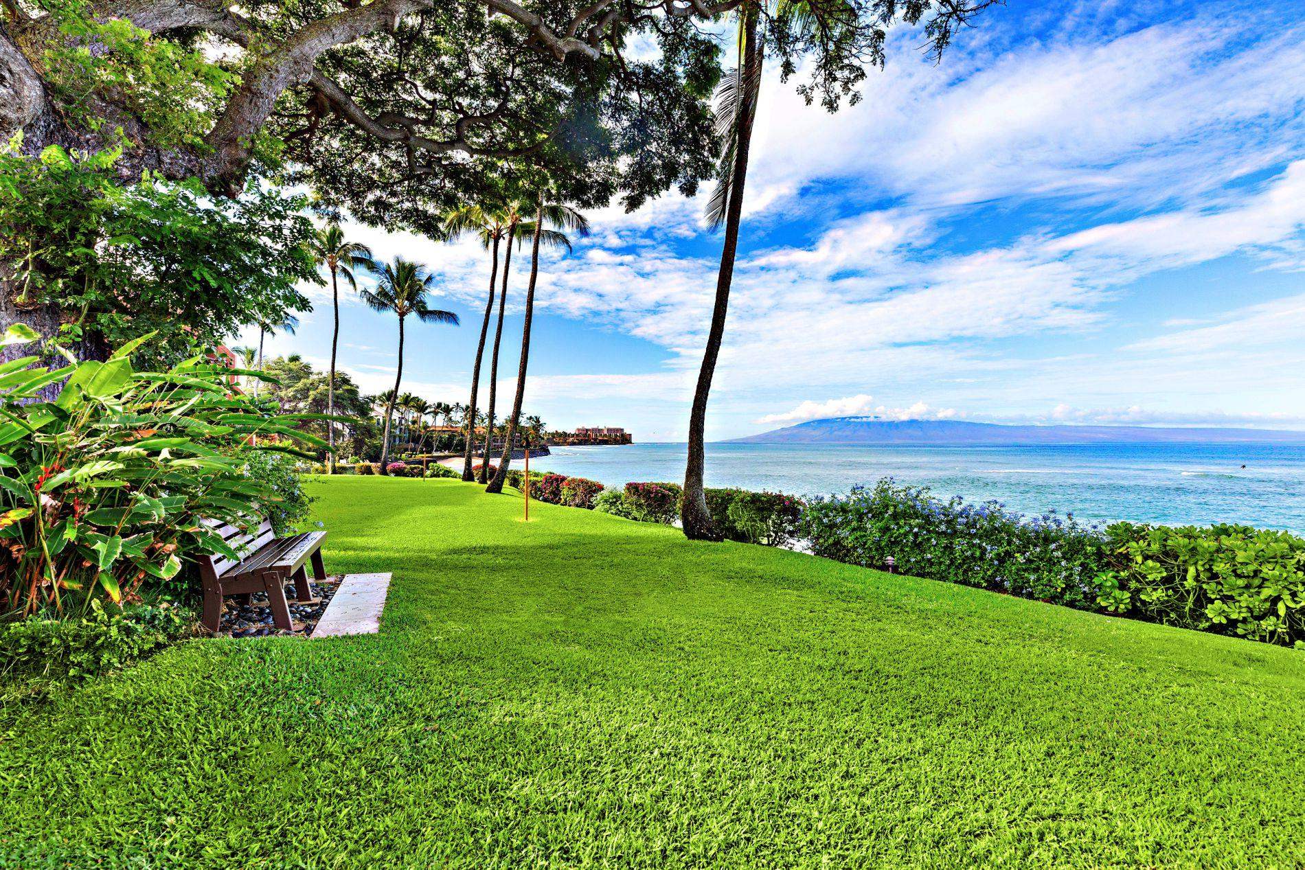 3959 Lower Honoapiilani Road, Unit 313 Lahaina, HI 96761 - Photo 30 of 41 Gallery Image 30