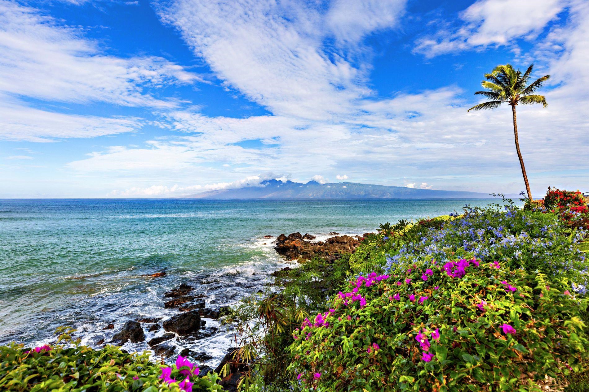3959 Lower Honoapiilani Road, Unit 313 Lahaina, HI 96761 - Photo 32 of 41 Gallery Image 32