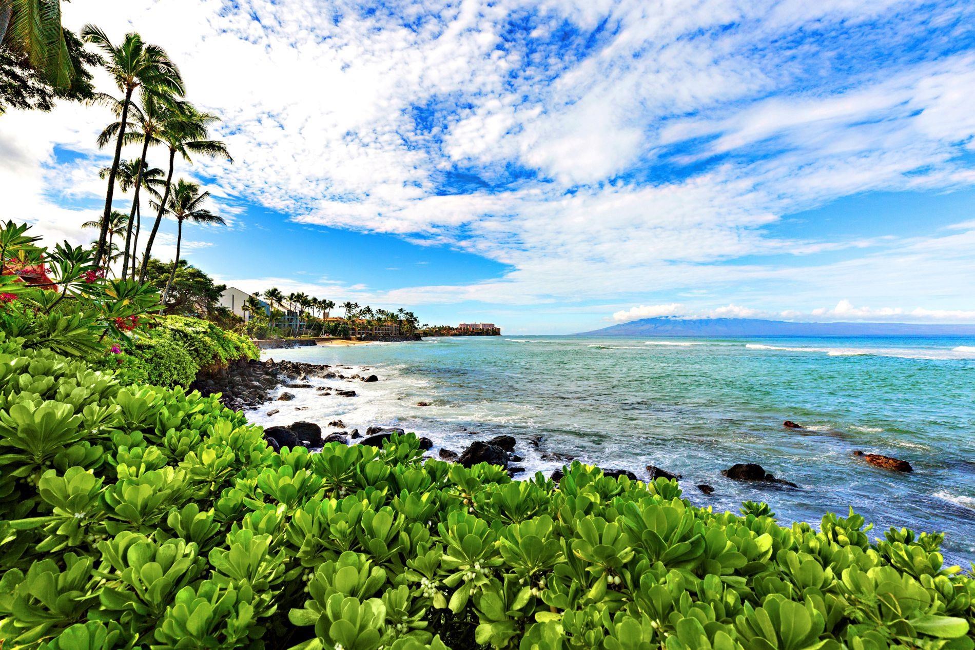 3959 Lower Honoapiilani Road, Unit 313 Lahaina, HI 96761 - Photo 33 of 41 Gallery Image 33