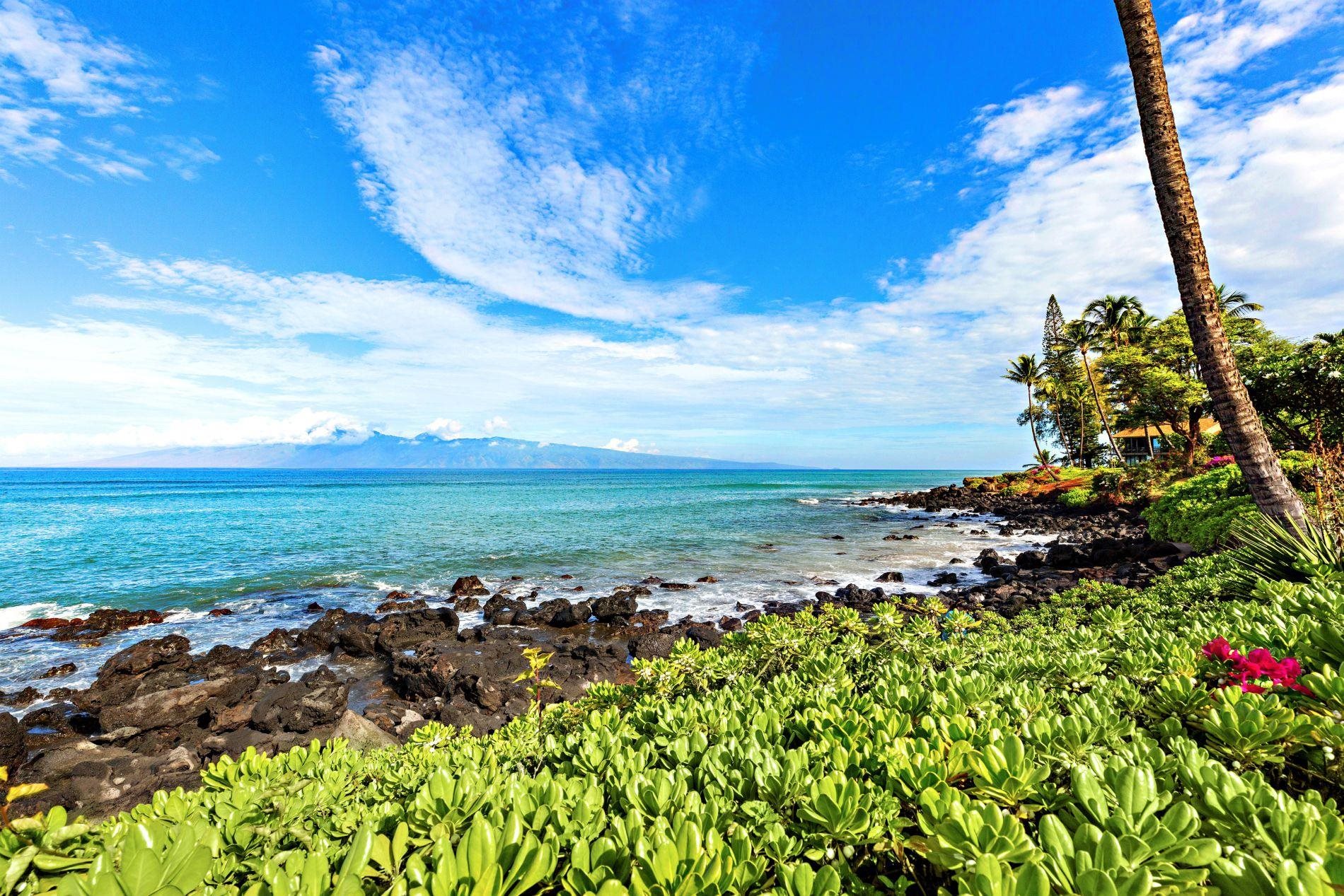 3959 Lower Honoapiilani Road, Unit 313 Lahaina, HI 96761 - Photo 34 of 41 Gallery Image 34