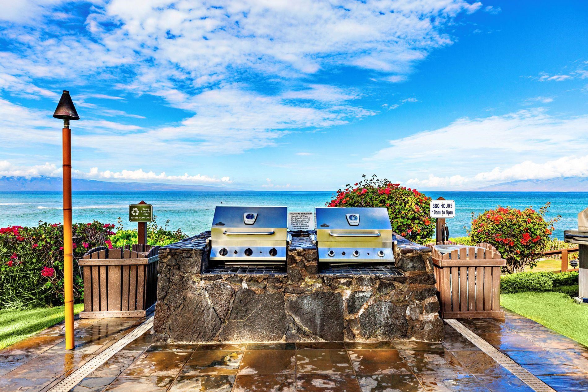 3959 Lower Honoapiilani Road, Unit 313 Lahaina, HI 96761 - Photo 35 of 41 Gallery Image 35