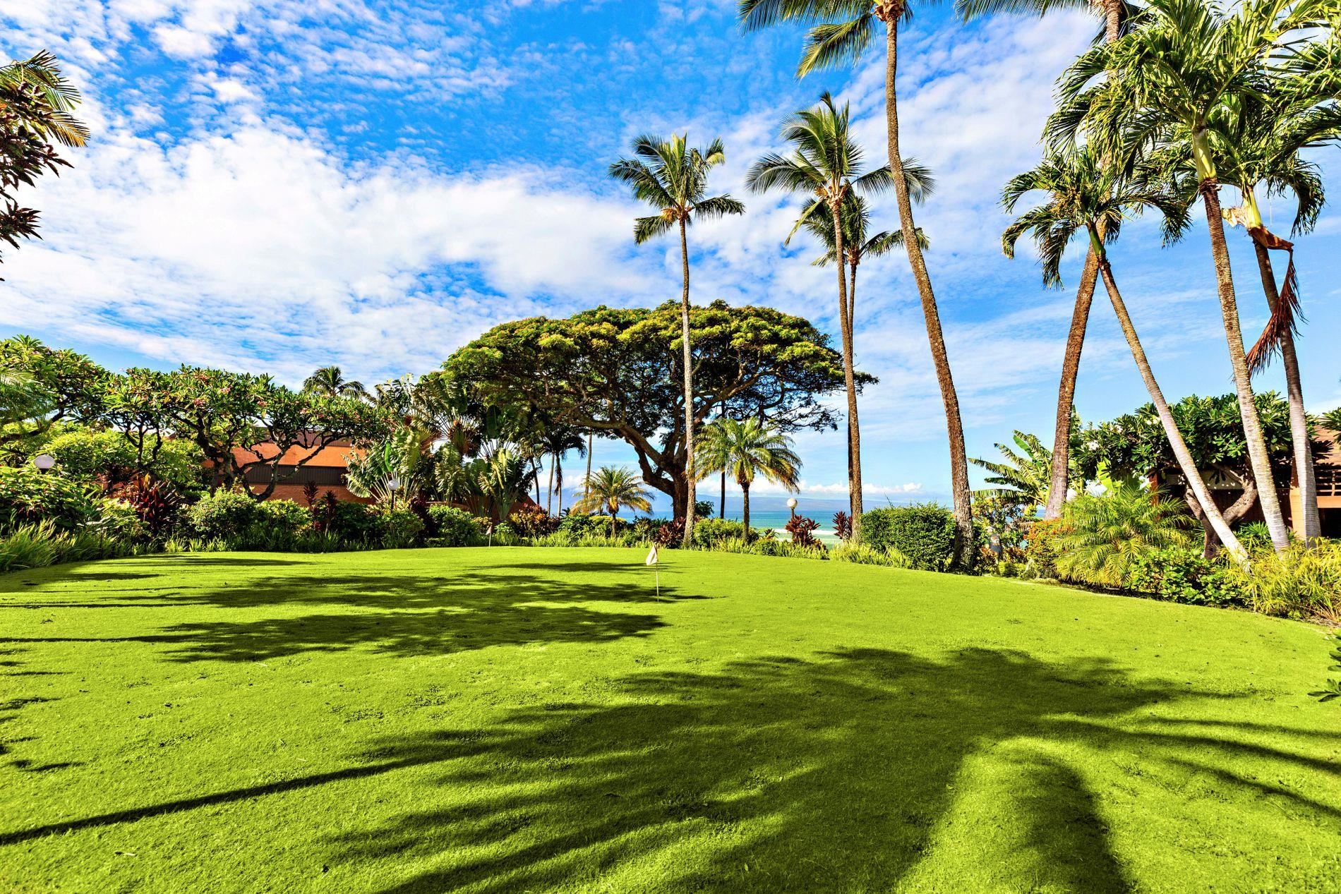 3959 Lower Honoapiilani Road, Unit 313 Lahaina, HI 96761 - Photo 37 of 41 Gallery Image 37